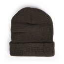 Fostex Rough beanie green