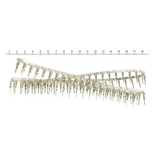 NAMZ, female pins for JST Mini receptable connectors