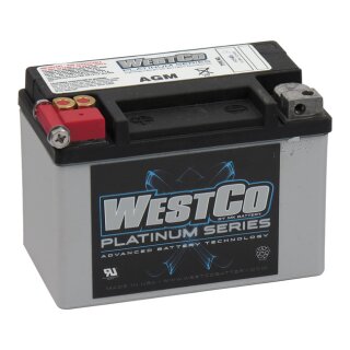 Westco, sealed AGM battery. 12 Volt, 8AMP, CCA120