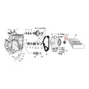 Cometic, camshaft seal. Double lip