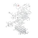 Cometic, speedo sensor/cooling jet or-ring