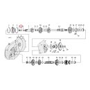 Cometic, o-ring clutch gear