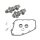 S&S, chain drive 557C camshaft kit