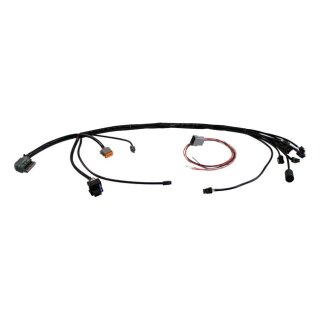 S&S, universal EFI wiring harness