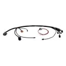 S&S, universal EFI wiring harness