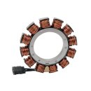 Alternator stator unmolded