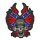 LT REBEL FLAME SKULL PATCH
