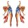 LT MINI DECAL USA PIN UP GIRL