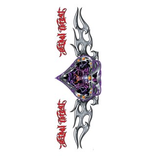 LT NIGHT RIDER DECAL