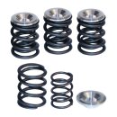 S&S, valve spring kit. STD to .550" lift
