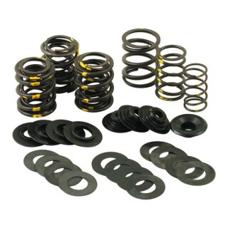 S&S, valve spring kit. Steel top collars .590" lift
