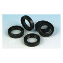 James, oil seal starter shaft. Dual lip