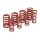 Andrews, high performance spring set .560" lift