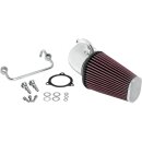 K&N, AirCharger performance air cleaner kit. Polished