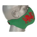 Bandero biker face mask Dragon