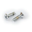 GW, inspection cover mount screws. Chrome