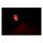BATES STYLE LED TAILLIGHT