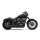 Cobra Speedster Shorts RPT Auspuffanlage schwarz für Harley XL Sportster 14-20
