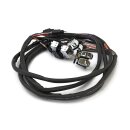 Handlebar switch & wiring kit. Cruise. LED. Chrome