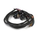 Handlebar switch & wiring kit. Cruise. LED. Black