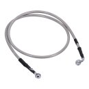 Goodridge brake line front, stainless clear coated