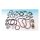 James, motor gasket set. 1200/1340 Flatheads