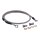 Goodridge brake line front, stainless clear coated