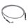 Goodridge brake line front, stainless clear coated