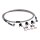 Goodridge brake line front, stainless clear coated