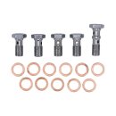 Goodridge brake line front, stainless clear coated