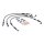 Goodridge brake line front, stainless clear coated