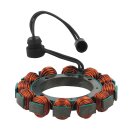 Cycle Electric Lichtmaschinen Stator Alternator für...