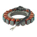 Cycle Electric, Alternator stator unmolded
