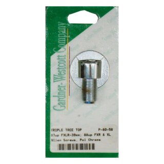 GW, XL Dyna 87-up Fork stem bolt kit. Polished chrome