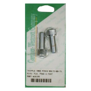 TRIPLE TREE PINCH BOLT SET, ALLEN