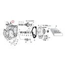 COLONY CYLINDER BASE STUD SET