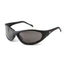 PHOENIX SUNGLASSES STARTER KIT SMOKE LENS