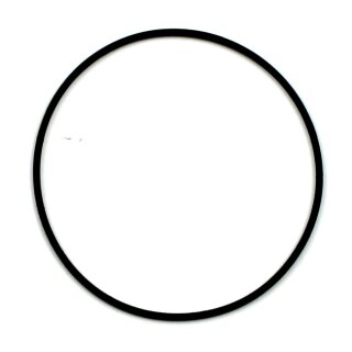 CHRIS, O-RING TURN SIGNAL LENS