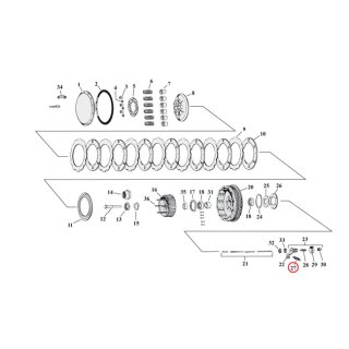 SPRING, WORM LEVER/SHIFTER PAWL