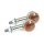 ARIZONA TURN SIGNALS, CHROME 40MM (ECE)