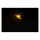 Jewel, in-bar LED turn signal. Smoke lens