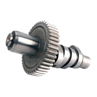 S&S, OES cam for Evo Big Twin