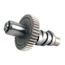 S&S, OES cam for Evo Big Twin