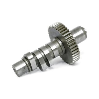 S&S 490LR CAM