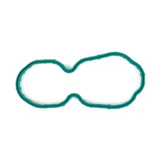 OEM Style Kraftstoffpumpen Dichtung für Harley XL Sportster 07-22