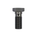 TRW Banjo Bolt titanium anodized M10x1.00