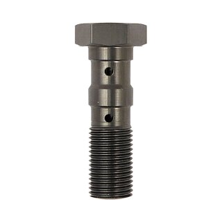 TRW double Banjo Bolt titanium anodized M10x1.00