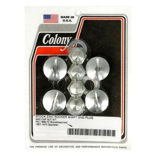 Colony, rocker shaft plug & nut kit. Slotted. Zinc