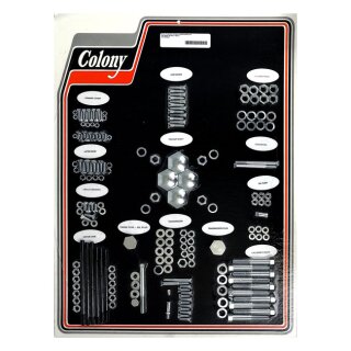 COLONY MOTOR SCREW SET