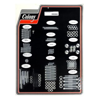 COLONY MOTOR SCREW SET